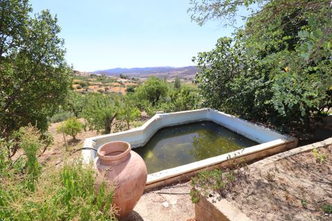 Landejendom i Lorca, Murcia, Lorca - € 399.950 | Ref: 2283-CH - foto 43